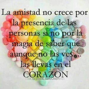 Meet your Posher, Elvira